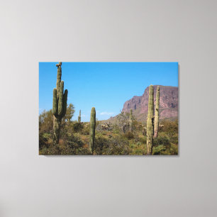Die Sonora-Wüste von Arizona Leinwanddruck