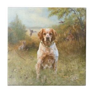 Die Spaniels der Bretagne, die Bretagne, Fliese