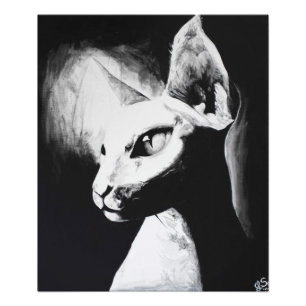 Die Sphynx-Katze Feline Original Kunst Foto Druck