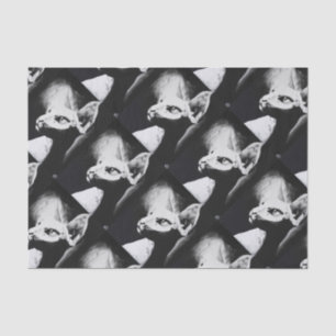 Die Sphynx Katzeunbehaartes Seidenpapier