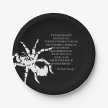 Die Spinne und das Fliegengedicht