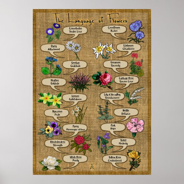 Die Sprache der Blume Poster (Vorne)