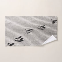 Die Spuren im Foto Sand Nature