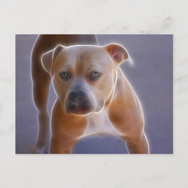 Die Stance Postkarte (Vorderseite)