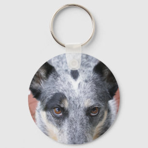 Die Starren unten - ein cowdog Blick Schlüsselanhänger