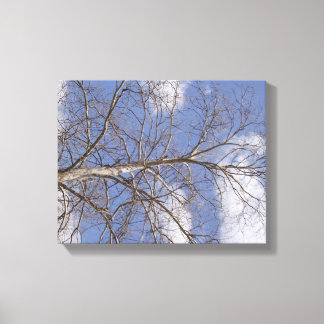 Die stattige Indiana Sycamore Leinwanddruck
