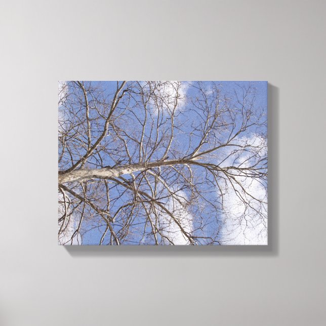 Die stattige Indiana Sycamore Leinwanddruck (Vorderseite)