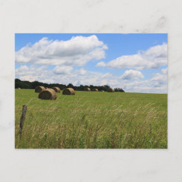 Die Steine des Sommers 2 Postkarte