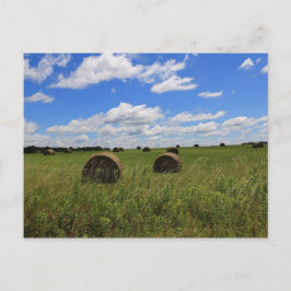 Die Steine des Sommers Postkarte