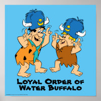 Die Steine | Fred & Barney Water Buffalos