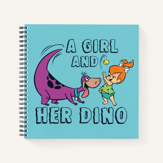 Die Steine | Kies und Dino-Play-Ball Notizbuch (Vorderseite)