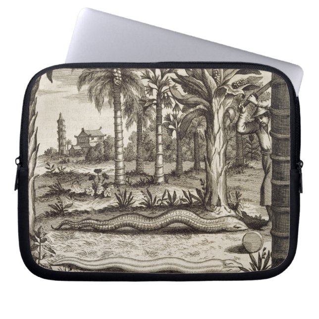 Die Steinschlange, "von der China illustriert" Laptopschutzhülle (Vorderseite)