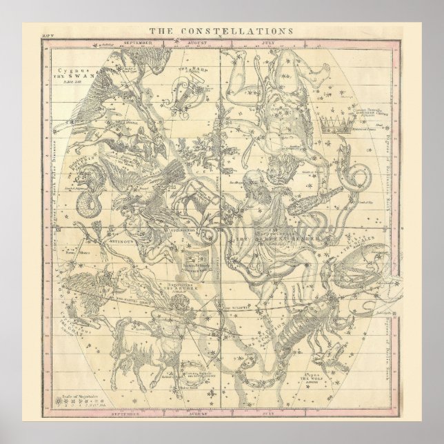 Die Sternbilder (Juli, August, September) Poster (Vorne)