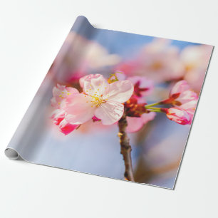 Die strahlende Schönheit der rosa Sakura-Blume Geschenkpapier