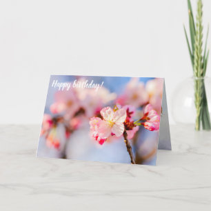 Die strahlende Schönheit der rosa Sakura-Blume Karte