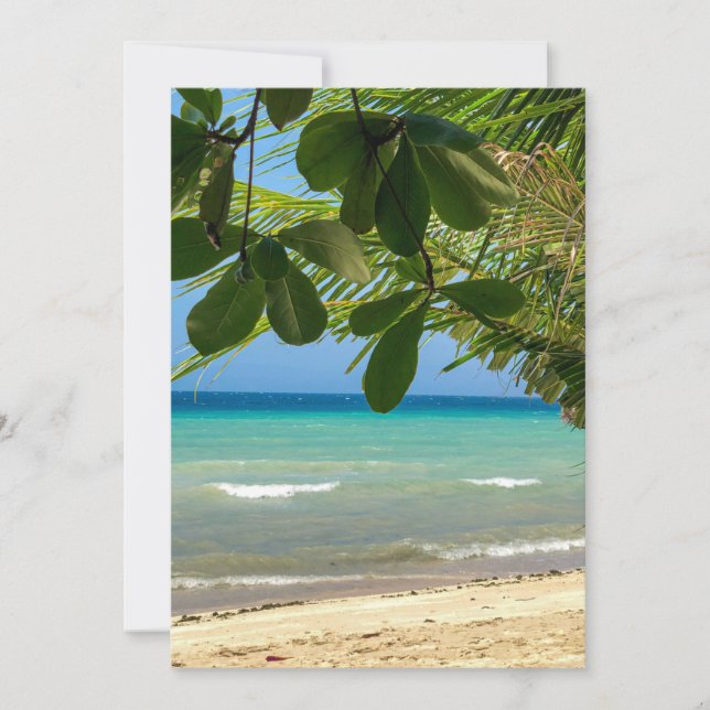 Die Strandlandschaft. Philippinen. Moalboal. Der w Einladung (Vorderseite)