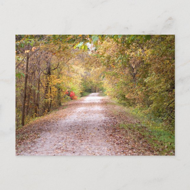 Die Straße ist weniger gereist Postkarte (Vorderseite)