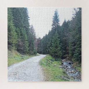 Die Straße zwischen Kiefern - Wilde Natur Rumänien