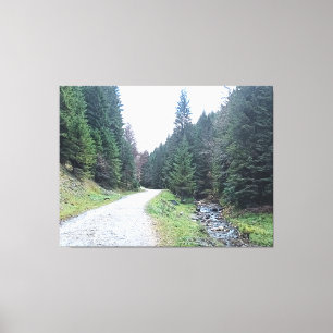 Die Straße zwischen Kiefern - Wilde Natur Rumänien Leinwanddruck