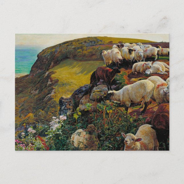 Die Strayed Sheep Postkarte (Vorderseite)