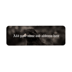 Die Suche