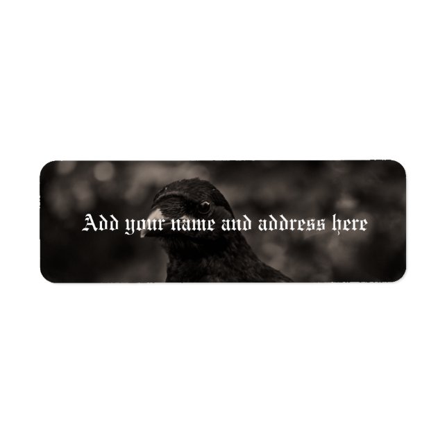 Die Suche (Vorne)