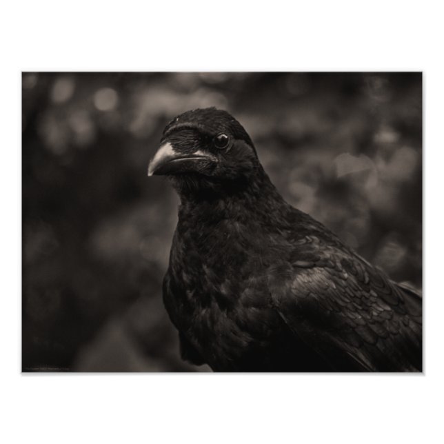 Die Suche Fotodruck (Vorne)