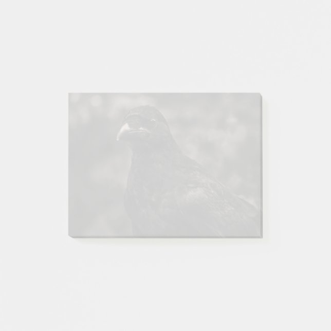 Die Suche Post-it Klebezettel (Vorderseite)