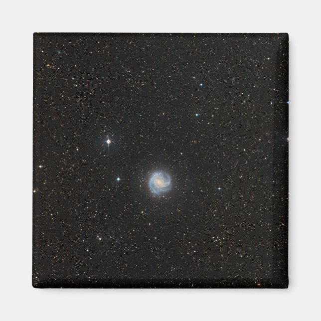 Die Südpinradgalaxie 2 Magnet (Vorne)