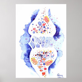 Die Synapse und der Nervenimpuls Poster