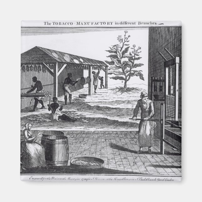 Die Tabakindustrie in verschiedenen Branchen Magnet (Vorne)