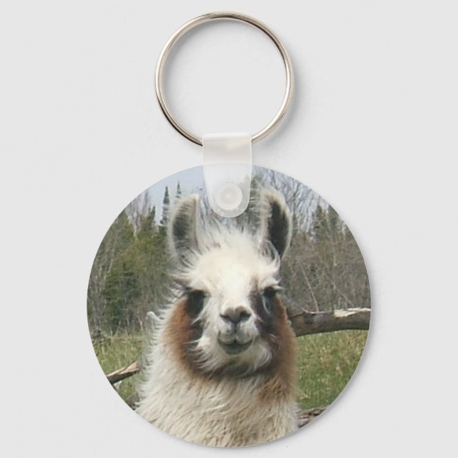 DIE TÄGLICHE LLAMA SCHLÜSSELANHÄNGER (Vorderseite)