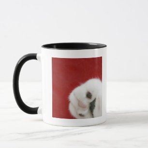 Die Tatze der Katze Tasse
