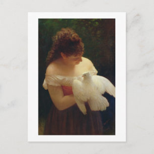 Die Taube Postkarte