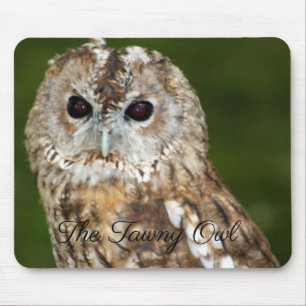 Die Tawny Owl Mousepad