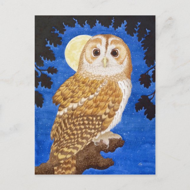 Die Tawny Owl Postkarte (Vorderseite)