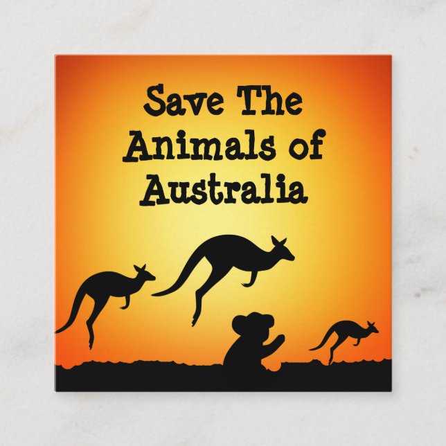 Die Tiere in Australien gerettet Quadratische Visitenkarte (Vorderseite)