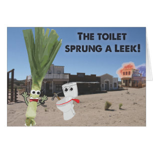 Die Toilette Sprung ein Leck!
