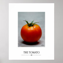 Die Tomate