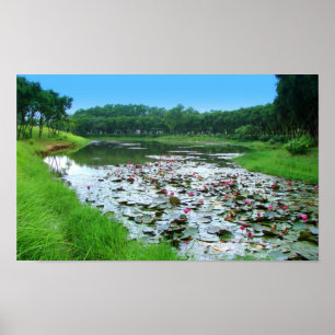 Die Touch der Natur Poster