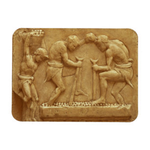 Die Trauben (Marmor) drücken Magnet