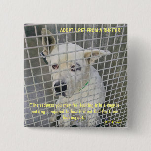 Die Traurigkeit, die Sie in einem Hund sehen Button