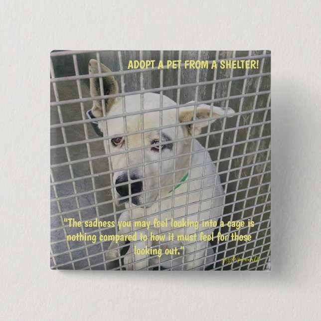 Die Traurigkeit, die Sie in einem Hund sehen Button (Vorderseite)