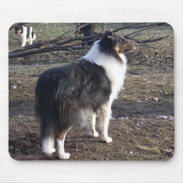 Die tri-color Collie Mousepad (Vorne)