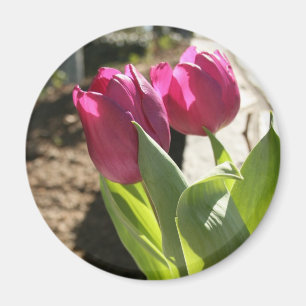Die Tulpen der Mutter Magnet