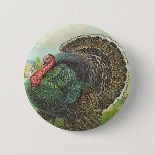 Die Türkei Button