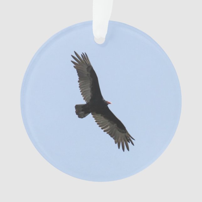 Die Türkei-Geier Ornament (Vorderseite)