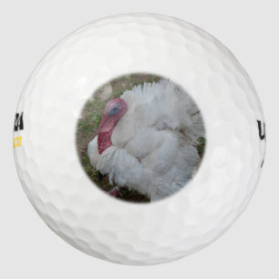 Die Türkei Golfball