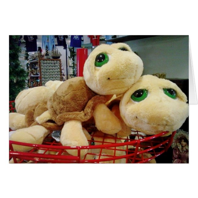 DIE TÜRKEN HABEN EINE AUSSERGEWÖHNLICHE NACHTSICHT (Vorderseite (Horizontal))