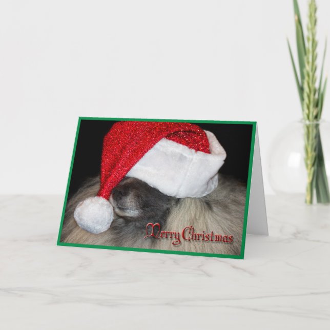 Die unbekannte Sankt-Tatzengrußkarte! Feiertagskarte (Vorderseite)